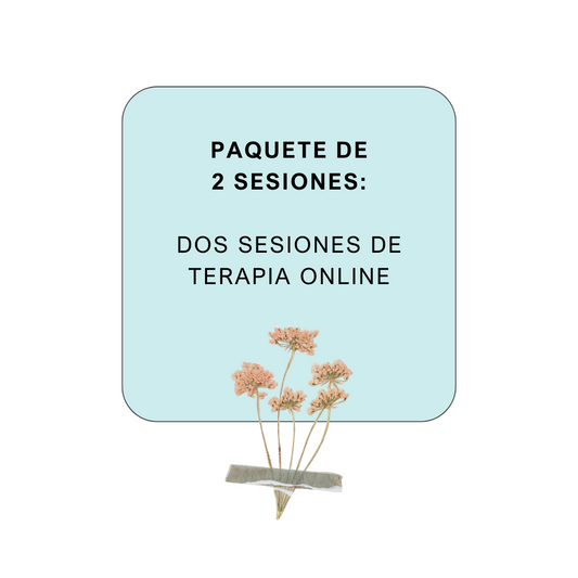 Paquete de 2 sesiones de terapia 馃挌