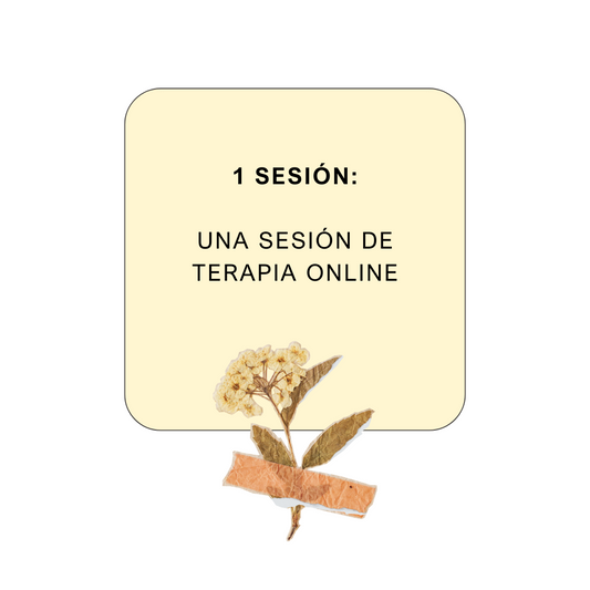 1 sesión de terapia online 💚